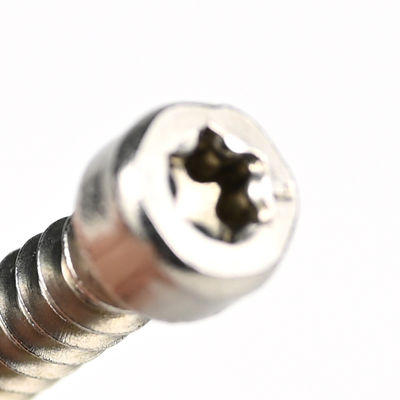 304 de acero inoxidable para el rollo de la cabeza del rellenador de tornillo M6 Torx tornillo con soporte personalizado