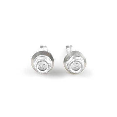 Raspert Finish de acero inoxidable Hex Head Bimetallic Roof Screw Ss316 Autoderección de tornillo con Epdm Lavadora para techos
