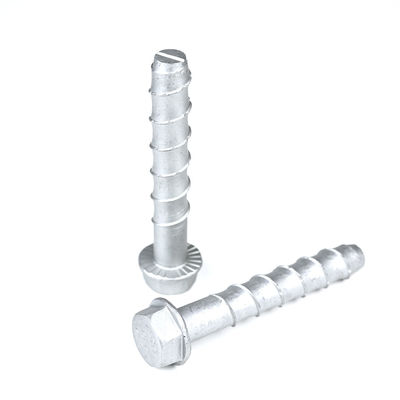 Hex Head Heavy Duty Acero inoxidable Anclas de hormigón de mampostería para protección de la red