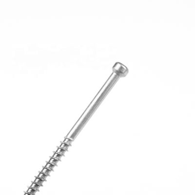 4x28mm tornillo de cartón de aglomerado para barandillas de construcción de madera en 305 Tamaño de personalizado
