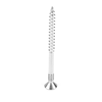 Círculo de doble hilo de acero inoxidable de 100 mm contrafundido Torx Head Drywall