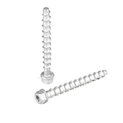 M6 75 mm de acero inoxidable Hex cabeza de hormigón perno de anclaje para la varilla de hilo Plazo de pago T / T