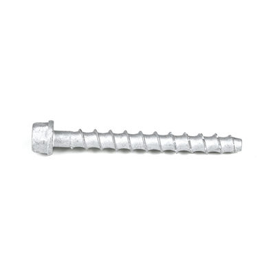 M6 75 mm de acero inoxidable Hex cabeza de hormigón perno de anclaje para la varilla de hilo Plazo de pago T / T