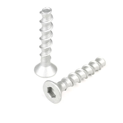SS304 Anclado de perno de hormigón de cabeza plana M6 M8 M10 M12 Serie de anclaje de hormigón
