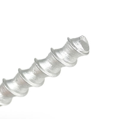 SS304 Anclado de perno de hormigón de cabeza plana M6 M8 M10 M12 Serie de anclaje de hormigón