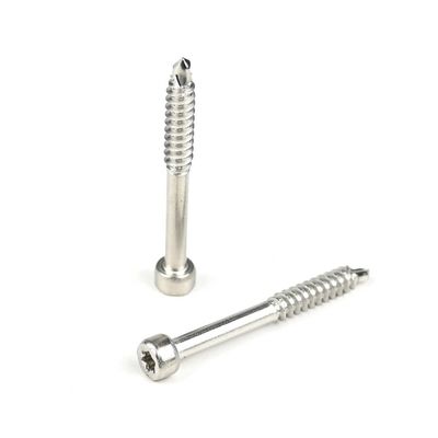Copo de acero inoxidable cabeza de relleno Torx tornillo de autoapertura para diversas aplicaciones