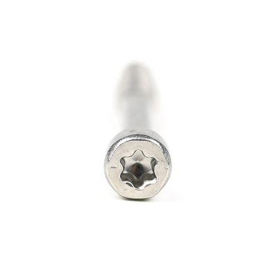 Copo de acero inoxidable cabeza de relleno Torx tornillo de autoapertura para diversas aplicaciones