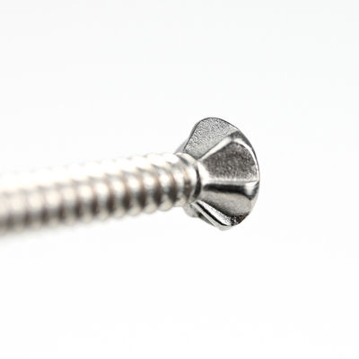 SUS410 Flat Phillips Head Autopulsante de auto-perforación de tornillo Wing Tek Torso con puntas 4.2x38