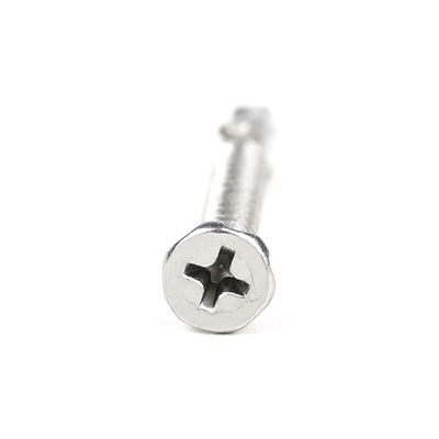 SUS410 Flat Phillips Head Autopulsante de auto-perforación de tornillo Wing Tek Torso con puntas 4.2x38