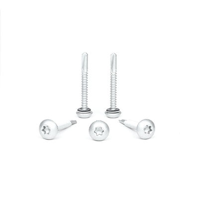 Raspert Button Torx 12x45 para el techo de techo de acero inoxidable